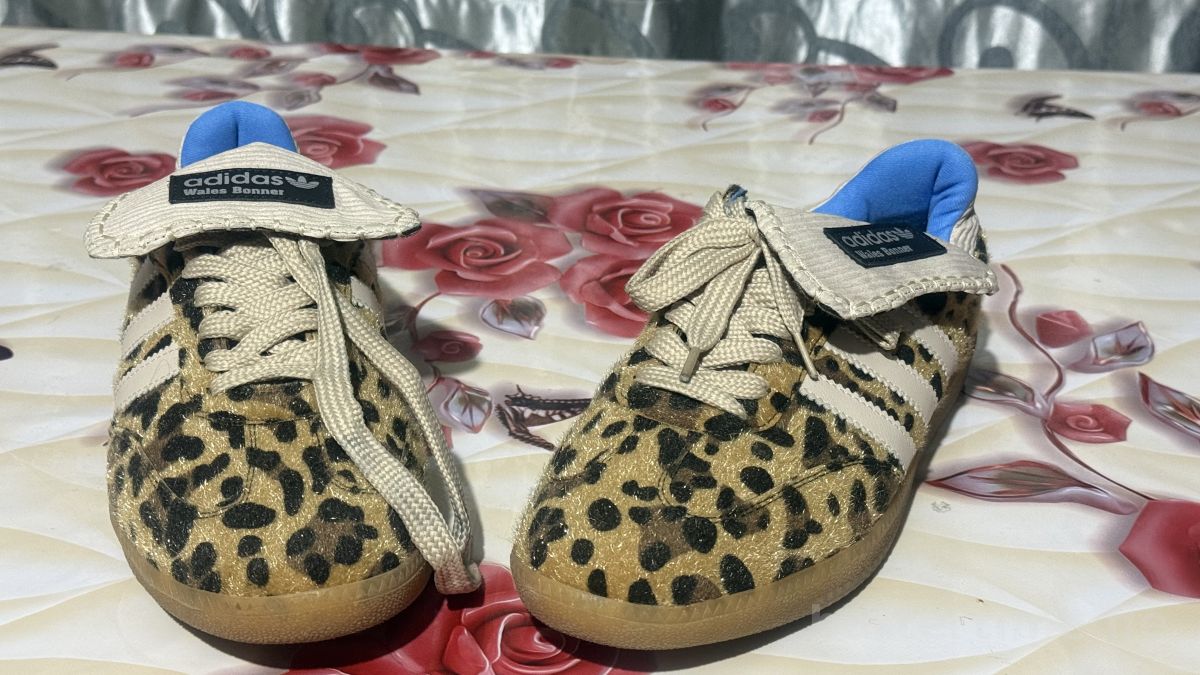 ფეხსაცმელი